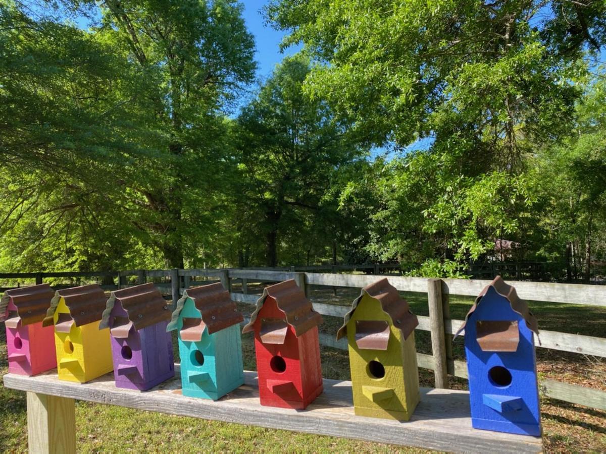 The Birdnest Inn Aiken Εξωτερικό φωτογραφία